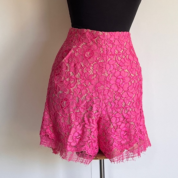 Scanlan Theodore Pants - Scanlan Theodore Lace High Waisted Shorts Size 10